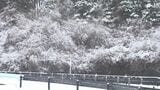 「車の上にも積もっていてびっくり」4月なのに…静岡で季節外れの雪 県東部では雪景色＝静岡・小山町　|　静岡のニュース | SBSNEWS | 静岡放送