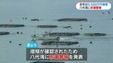 八代海に赤潮警報　漁業被害の恐れ　|　鹿児島のニュース｜MBC NEWS｜南日本放送