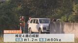 襲ったクマの体重 “軽かった” 行動範囲は過去最悪レベル 市街地での目撃相次ぐ|TBS NEWS DIG