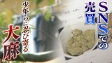 「過去最多130人以上」大麻取締法違反により大阪で摘発された少年たち 背景には『隠語』によるSNSでの売買 摘発少年ら語った「後悔」とは...|TBS NEWS DIG