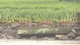 台風10号による農林水産被害は約29億3500万円(速報値)市町村別では由布市の6億8800万円が最大 | 大分のニュース|OBS NEWS|大分放送