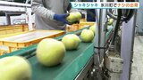 「シャキッ、じゅわっ！」甘～いナシ“幸水”の出荷はじまる　熊本・氷川町|TBS NEWS DIG