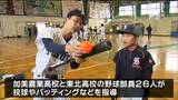 「技術だけでなく掛け声や精神面も学べて良かった」高校球児が小中学生に“野球の楽しさ”伝える 宮城|TBS NEWS DIG