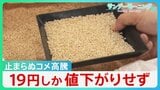 止まらぬコメ高騰 背景には「買い戻し」条件と「備蓄米の入札価格高騰」の二重の壁　政府買い入れ当時の“2倍”に【サンデーモーニング】|TBS NEWS DIG