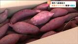 山元町や大崎市産の"サツマイモ"香港に向けて輸出「紅はるか」「シルクスイート」宮城　|　宮城のニュース│tbc NEWS│tbc東北放送