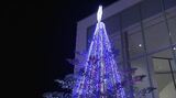 世界の平和を祈る灯りが夜を彩る…大学でクリスマスツリー点灯 長野|TBS NEWS DIG