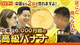 『5本で6480円の超高級』京都産バナナは「中国なら2倍の値段で売れる!?」糖度27度・厚さ1mmの皮ごとOK・無農薬...にバイヤーも注目|TBS NEWS DIG