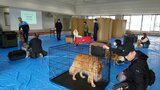 災害時の避難所にペットを同伴できるか検証 大分 | 大分のニュース|OBS NEWS|大分放送