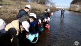 「元気に帰ってこいよ」サケの稚魚放流で児童が命の大切さを学ぶ 青森県八戸市|TBS NEWS DIG