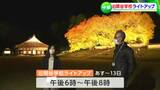 旧閑谷学校 ライトアップされた “国宝の講堂”と”紅葉した楷の木” の競演「現在8割ほど色付いています。11月10日前後には...」【岡山・備前市】|TBS NEWS DIG