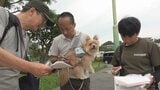 主役はワンちゃん「浜名湖八犬伝プロジェクト」 この秋に開幕...地域を巻き込み愛犬家の聖地へ 飼い主と犬が浜名湖周辺の8か所を巡る=浜松市 | 静岡のニュース | SBSNEWS | 静岡放送