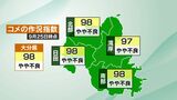 大分県内のコメの作況指数はやや不良の「98」大雨による日照不足で穂数やもみの数に影響 | 大分のニュース|OBS NEWS|大分放送