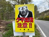 「クマに襲われた」県内でまたクマの被害 公務員の男性 約1.5メートルの成獣にこめかみや手足ひっかかれたか|TBS NEWS DIG