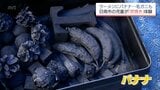 毛ガニや牛のツノも!! 日南市の小学生が昔ながらの「炭焼き」体験 窯からはユニークな炭が | MRTニュース | MRT宮崎放送