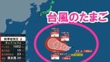 新たな「台風のたまご」太平洋上に発生　あすにも台風に発達する可能性　「強い」勢力になる見込み【気象庁】|TBS NEWS DIG