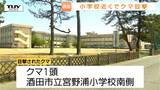 通報相次ぐ　小学校の近くにクマ出没　酒田市で連日のように目撃　カメラには住宅街近くを歩くクマが！（山形）|TBS NEWS DIG