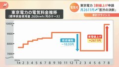 東京電力　半数以上の家庭が契約している電気料金プランについて29.3%の値上げを申請| TBS CROSS DIG with Bloomberg