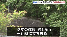 仙台市内でクマ1頭目撃 体長約1.5m　付近には小学校やこども園も… 警察が注意呼びかけ　宮城|TBS NEWS DIG