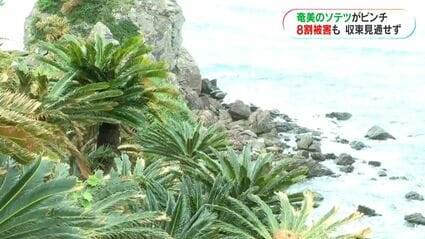 img_543c45330a19406e13ccdd065e