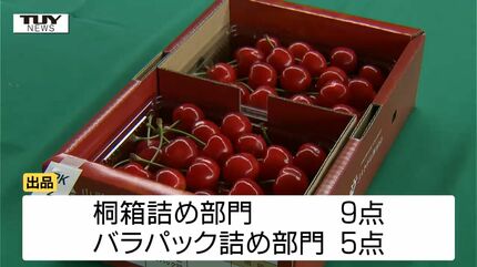立派なさくらんぼが出品！ 