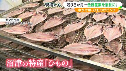 昔からの特産品がなくなってしまう」水かけ菜、ひものがピンチ 新たな
