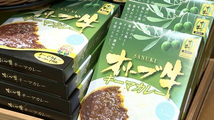香川県産 お中元】香川県産シャインマスカット 1房（約600g）化粧箱入り: JA