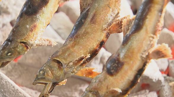 夏の疲れを吹き飛ばす大分の食　アユ料理＆トマトらーめん　|　大分のニュース｜OBS NEWS｜大分放送
