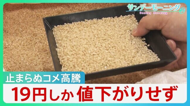 止まらぬコメ高騰 背景には「買い戻し」条件と「備蓄米の入札価格高騰」の二重の壁　政府買い入れ当時の“2倍”に【サンデーモーニング】|TBS NEWS DIG