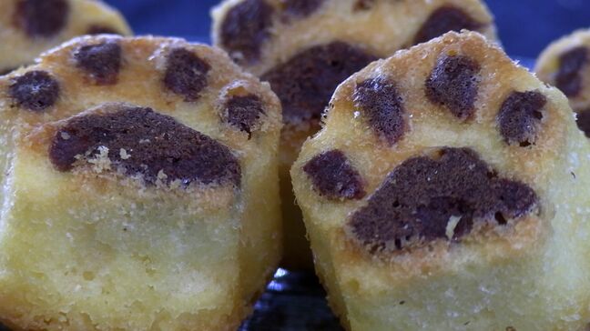 犬や猫の肉球をかたどったマドレーヌ　思わず触りたくなると人気　売り上げ一部は動物愛護団体へ【岡山】|TBS NEWS DIG