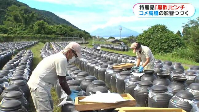 コメ高止まりで鹿児島伝統の黒酢もピンチ「仕入れ値は去年の倍」コメ高騰|TBS NEWS DIG