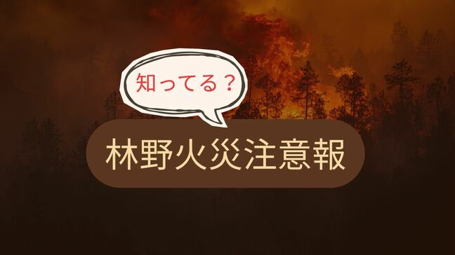 【気象予報士が解説】「乾燥注意報」とは何が違う？2026年スタートの「林野火災注意報」5月にかけて注意が必要な理由|TBS NEWS DIG
