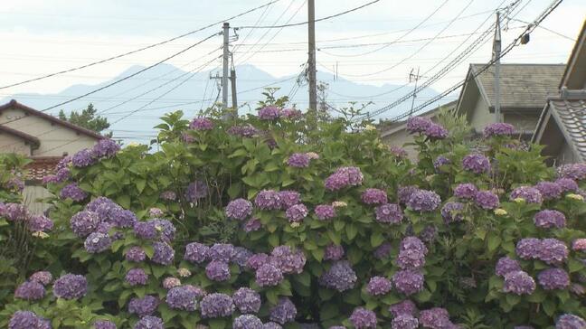 北陸地方が梅雨入り 平年より9日遅く|TBS NEWS DIG