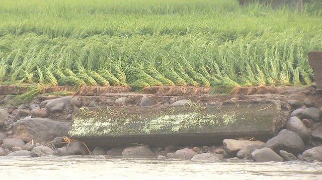 台風10号による農林水産被害は約29億3500万円(速報値)市町村別では由布市の6億8800万円が最大 |TBS NEWS DIG