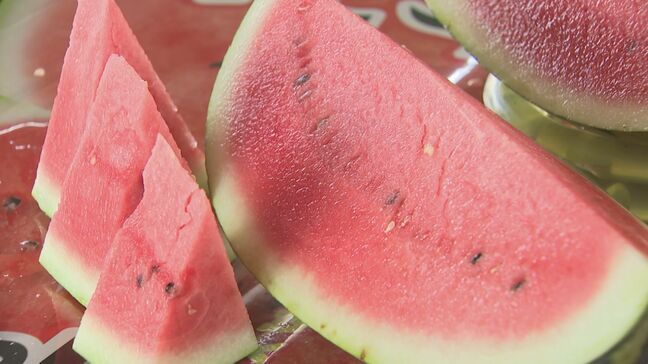 夏も終わりだけど…9月に出荷されるスイカ「抑制極実西瓜」とは？　“秋のスイカ”栽培するワケ|TBS NEWS DIG