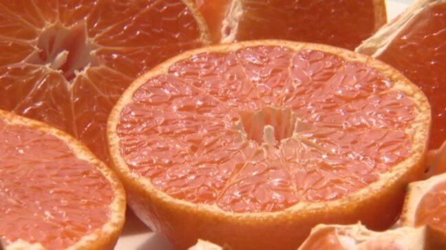  「いい仕上がりになっている」 お中元に人気の温室みかんが出荷ピークに 愛媛・松山市|TBS NEWS DIG