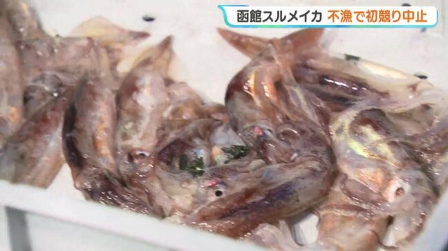 【スルメイカ漁】函館の初競りが2年連続で中止「夢も希望もない」漁業者は落胆　漁の解禁2日目…1隻も出漁せず|TBS NEWS DIG