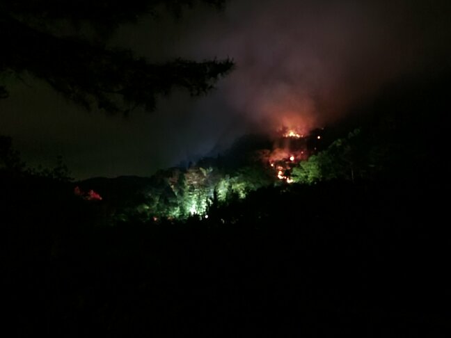 【速報】山口県岩国市で山林火災、消防の活動続く|TBS NEWS DIG