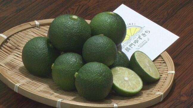 「早めの秋を感じて」…特産“長門ゆずきち”まもなく出荷開始　山口・長門|TBS NEWS DIG