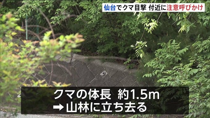 仙台市内でクマ1頭目撃 体長約1.5m　付近には小学校やこども園も… 警察が注意呼びかけ　宮城|TBS NEWS DIG