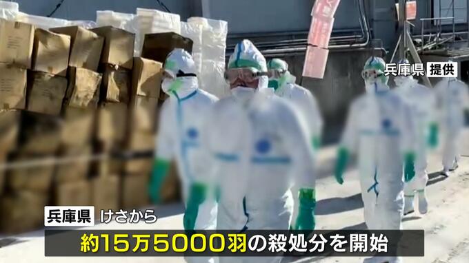 兵庫・姫路市で今シーズン２例目の鳥インフルエンザ確認　鶏場のニワトリ約１５万５０００羽の殺処分開始|TBS NEWS DIG