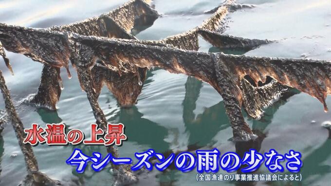 “記録的な不作” 今シーズンの「のり」の生産量が半減に 「恵方巻き」への影響も心配に【まるっと！サタデー】|TBS NEWS DIG