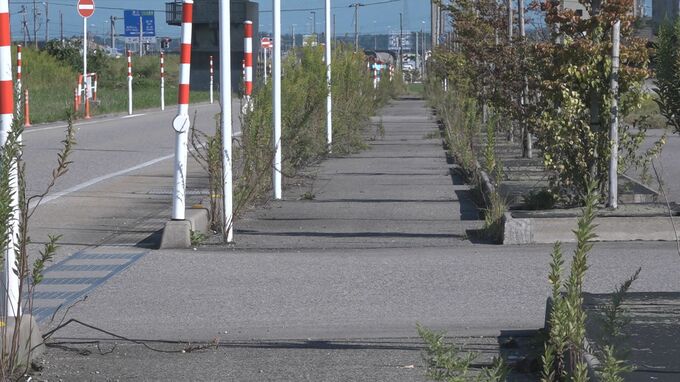 自転車で登校中の中学生　大型トラックにはねられ重傷　富山|TBS NEWS DIG