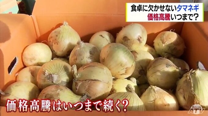 青森市の市場価格は４倍に　タマネギ高騰はなぜ？いつまで続く？　|　青森のニュース│ATV NEWS│青森テレビ