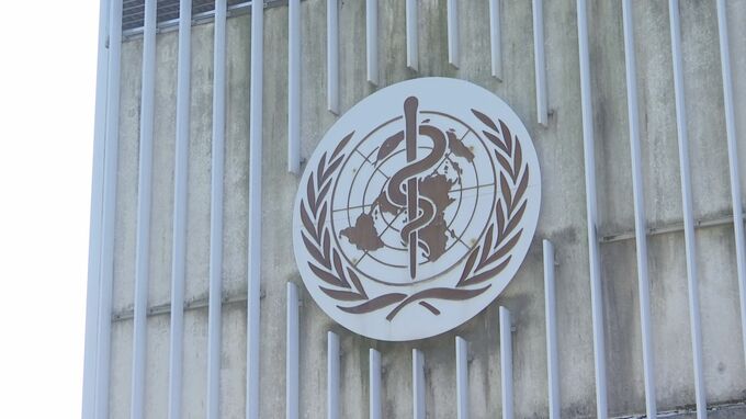 中国で“鳥インフルエンザ”感染者が死亡 「H3N8型」による死者は世界初 発症前に生きた家禽類と接触|TBS NEWS DIG