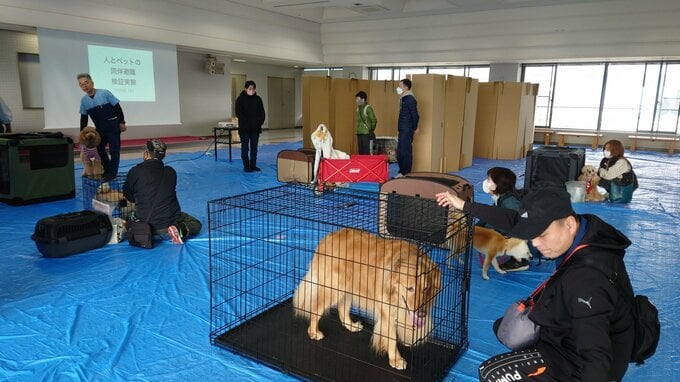災害時の避難所にペットを同伴できるか検証 大分　|　大分のニュース｜OBS NEWS｜大分放送