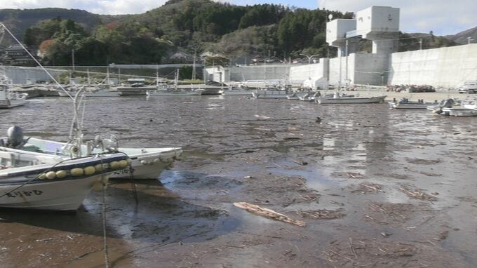 「このままでは船が出せない」 大規模山林火災の影響か 漁港に大量の黒く焦げた木や枝・土砂 大雨で流れ込む 岩手・大船渡市|TBS NEWS DIG