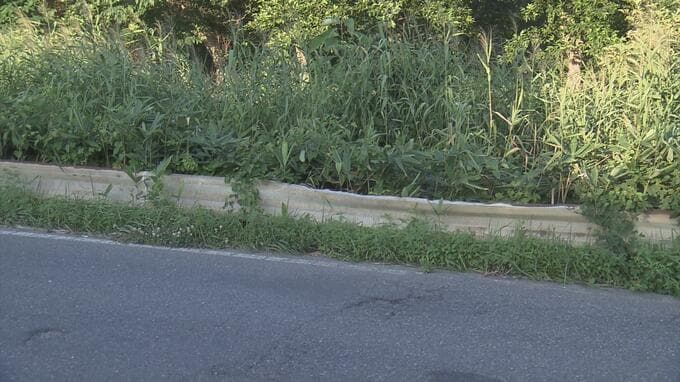 「シカとぶつかったと思った」　80歳女性をひき逃げの疑いで22歳の男を逮捕　容疑を一部否認　女性は6日後に遺体で発見される　車にはね飛ばされたか|TBS NEWS DIG