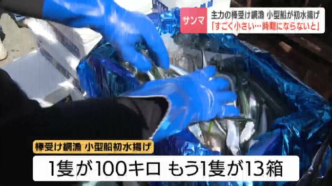 水揚げされたサンマ