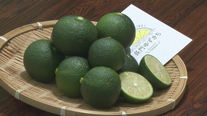 「早めの秋を感じて」…特産“長門ゆずきち”まもなく出荷開始　山口・長門|TBS NEWS DIG