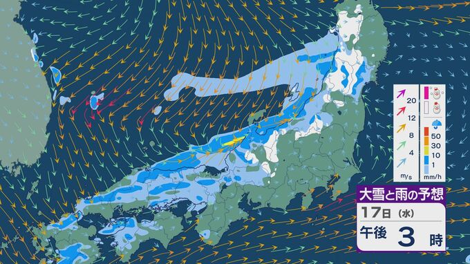 低気圧が日本海から日本の南海上へ 17日(水)は北陸など日本海側を中心に雨や雪の降る天気に 雪・雨と風シミュレーション|TBS NEWS DIG